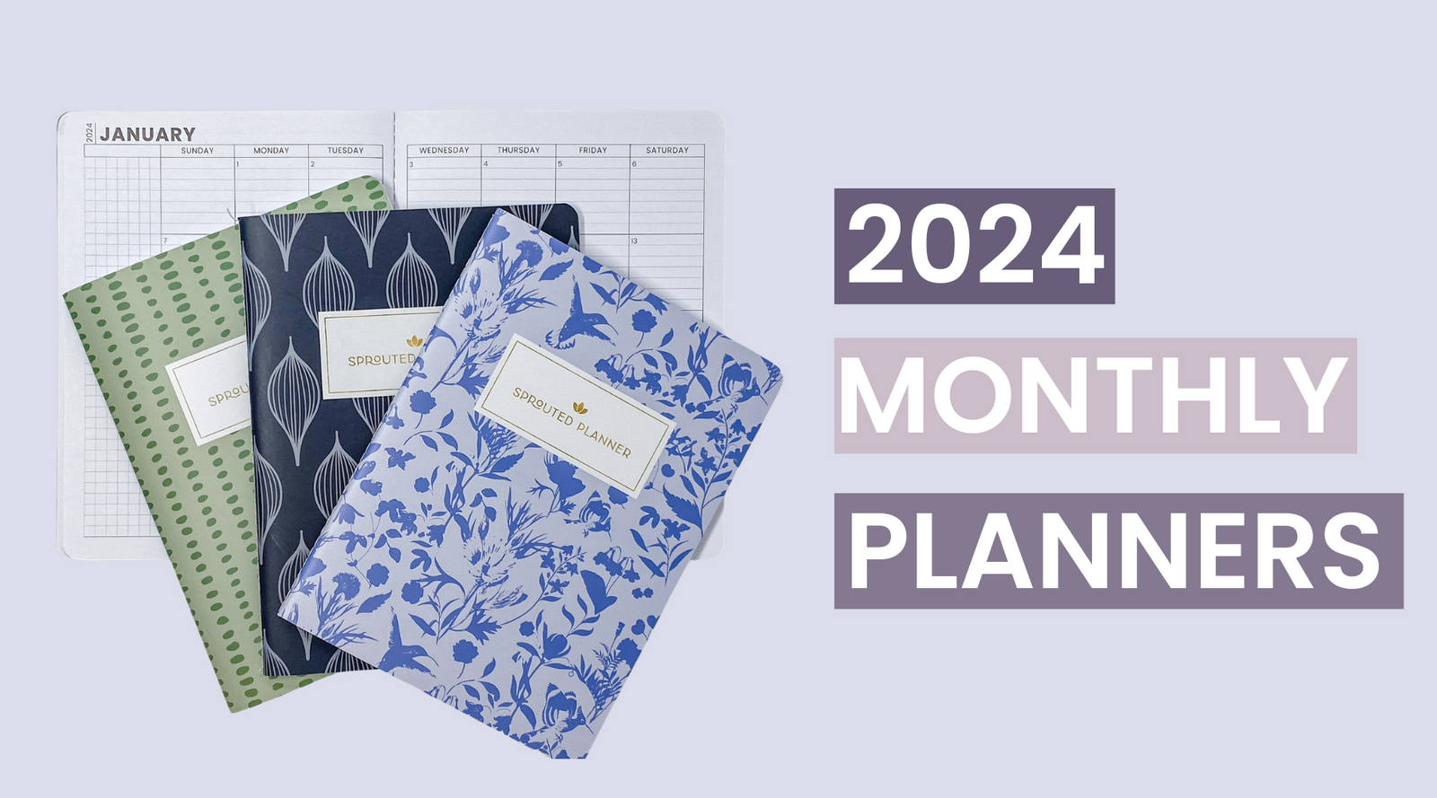 2024 Daily Planner Rundown - Sprouted Planner