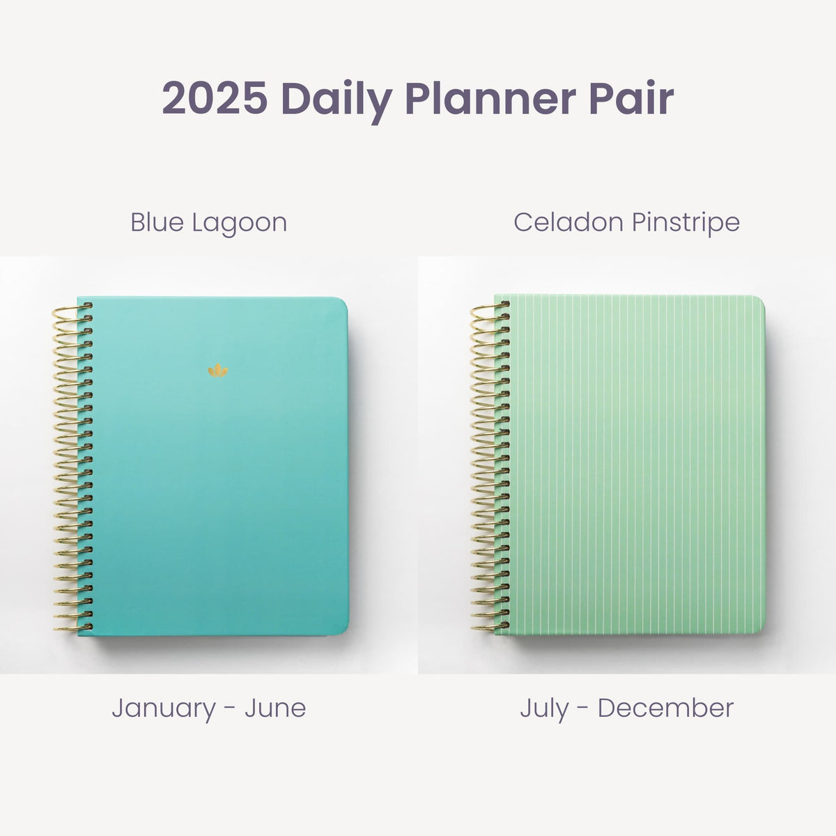 2025 Daily Planners - Blue Lagoon Pairings