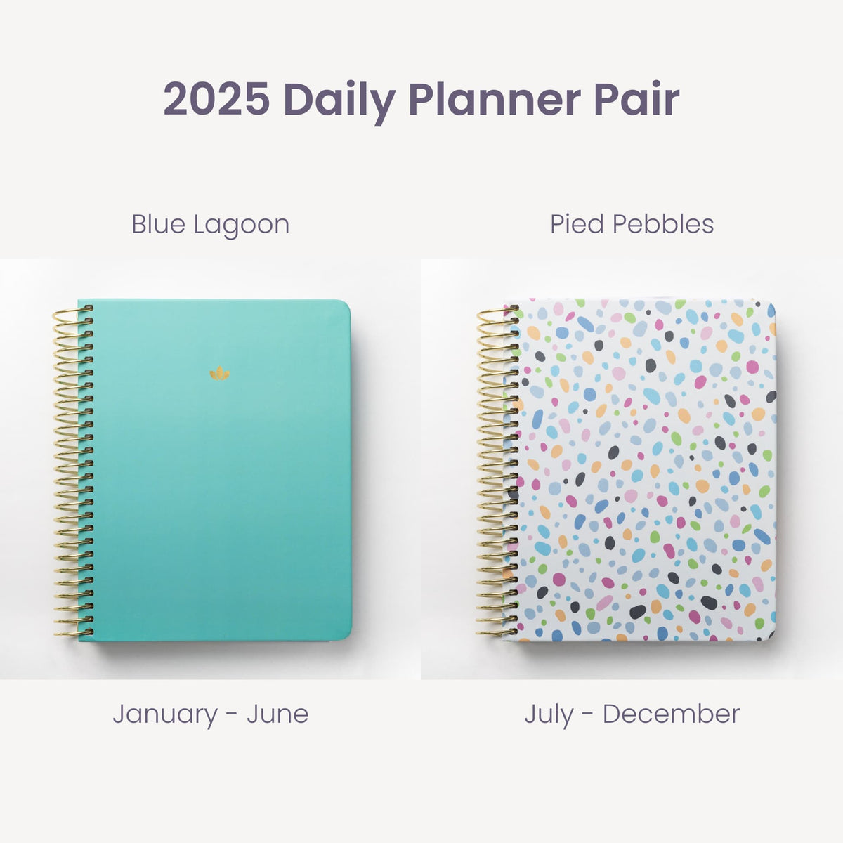 2025 Daily Planners - Blue Lagoon Pairings