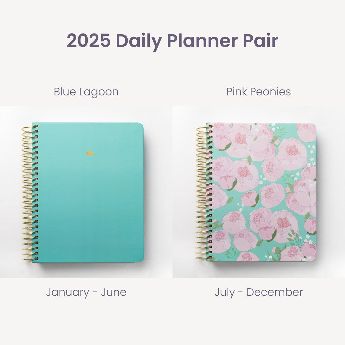 2025 Daily Planners - Blue Lagoon Pairings