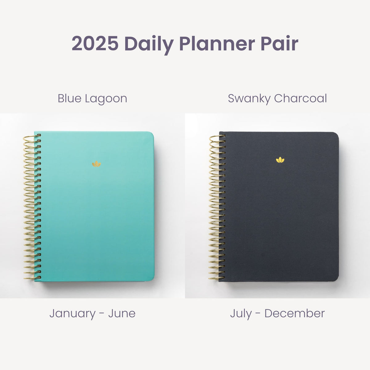 2025 Daily Planners - Blue Lagoon Pairings