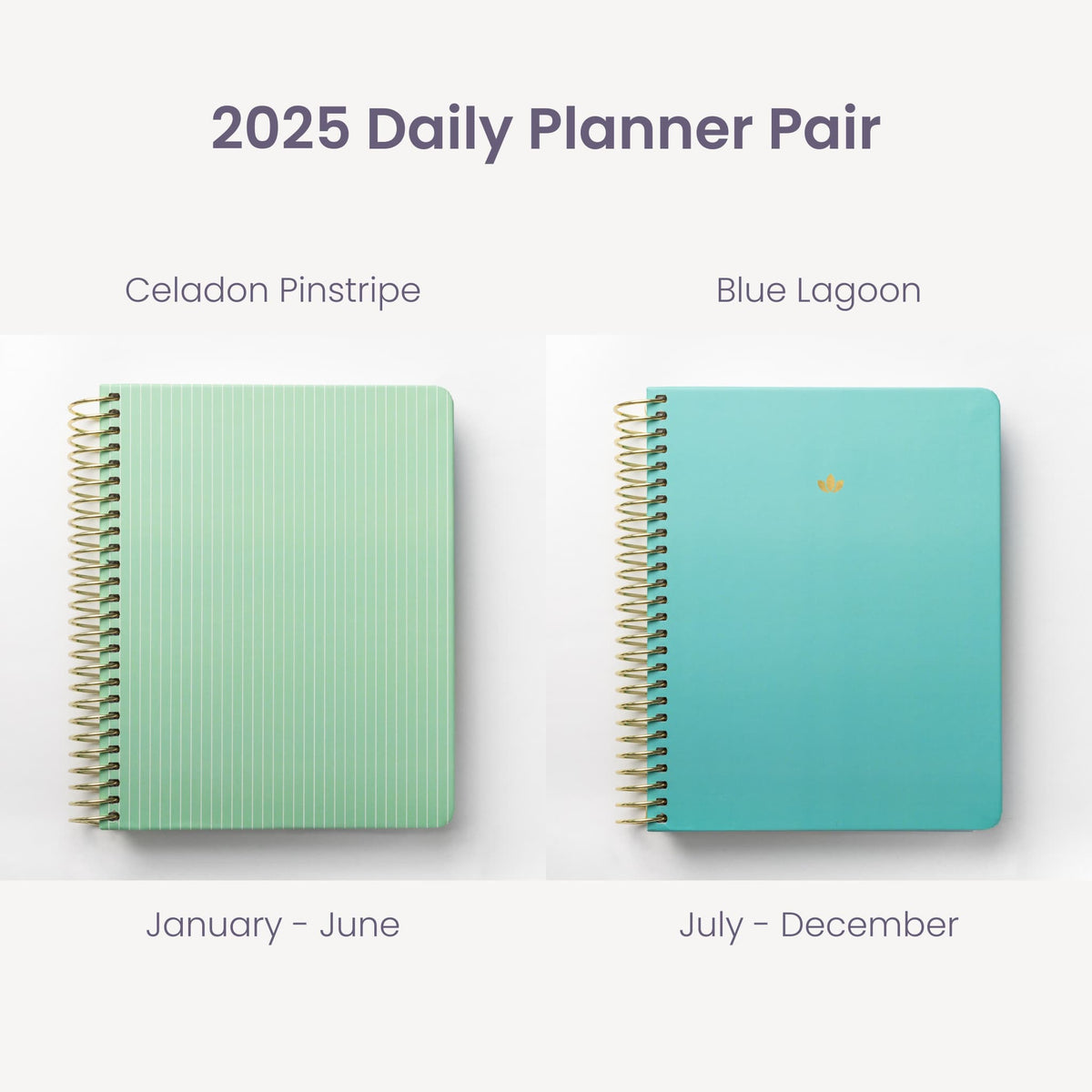 2025 Daily Planners - Celadon Pinstripe Pairings