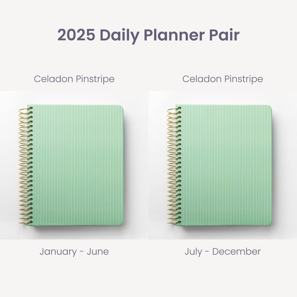 2025 Daily Planners - Celadon Pinstripe Pairings