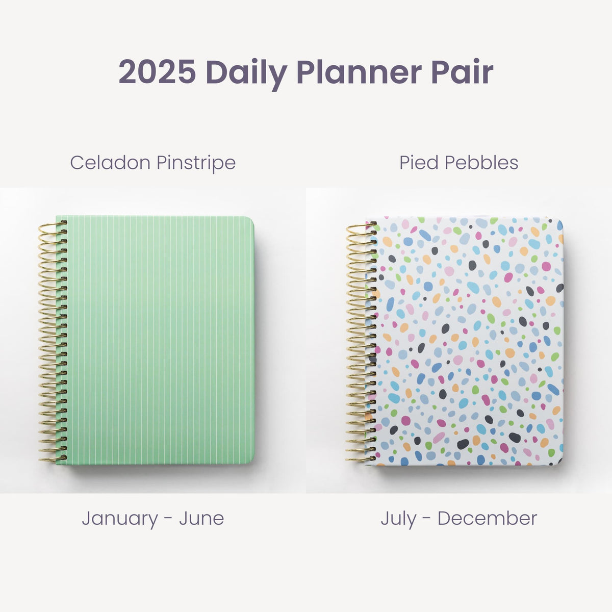 2025 Daily Planners - Celadon Pinstripe Pairings