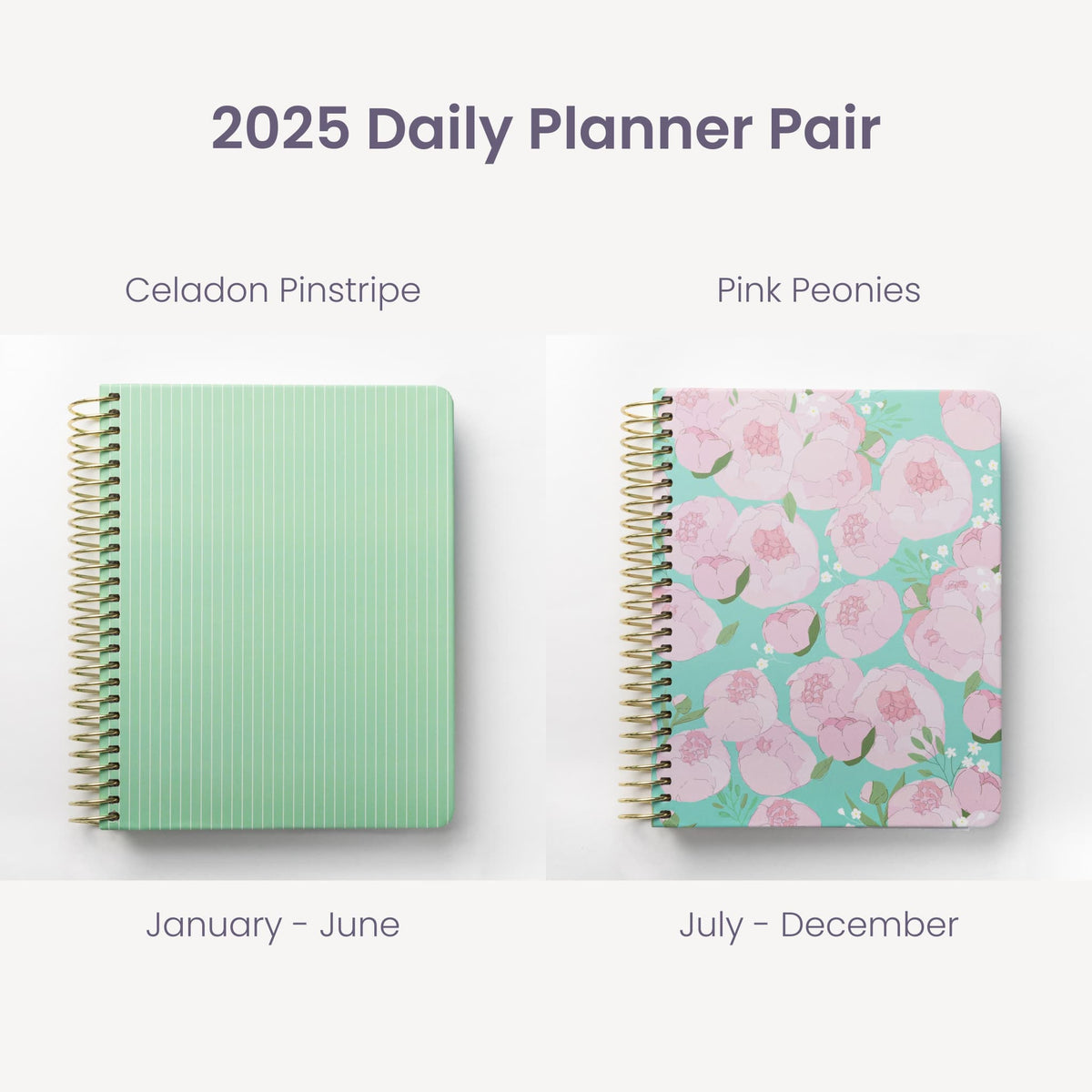 2025 Daily Planners - Celadon Pinstripe Pairings