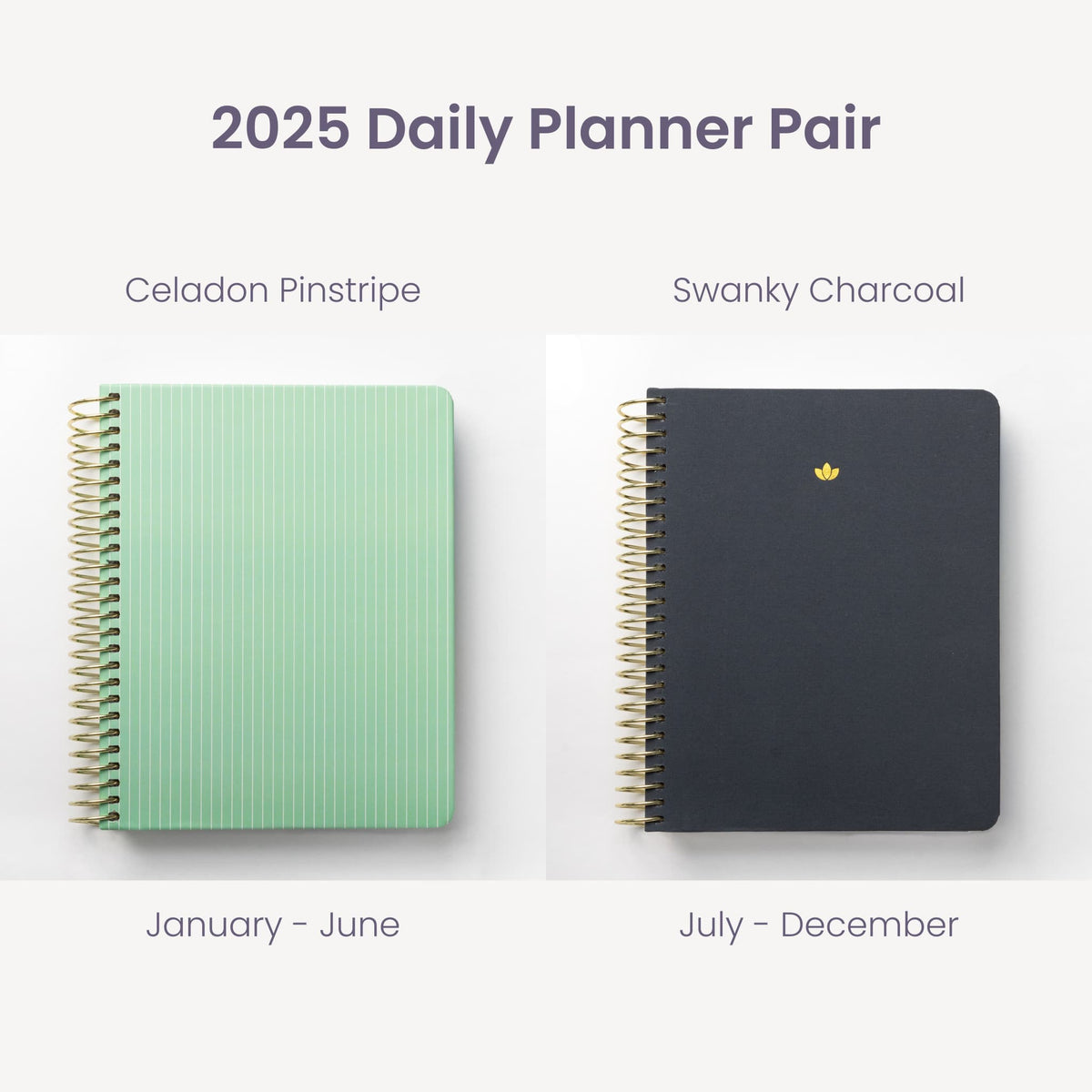 2025 Daily Planners - Celadon Pinstripe Pairings