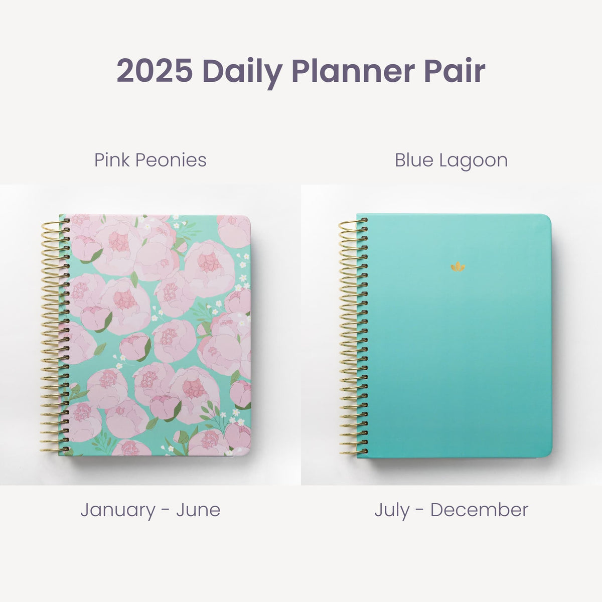 2025 Daily Planners - Pink Peonies Pairings