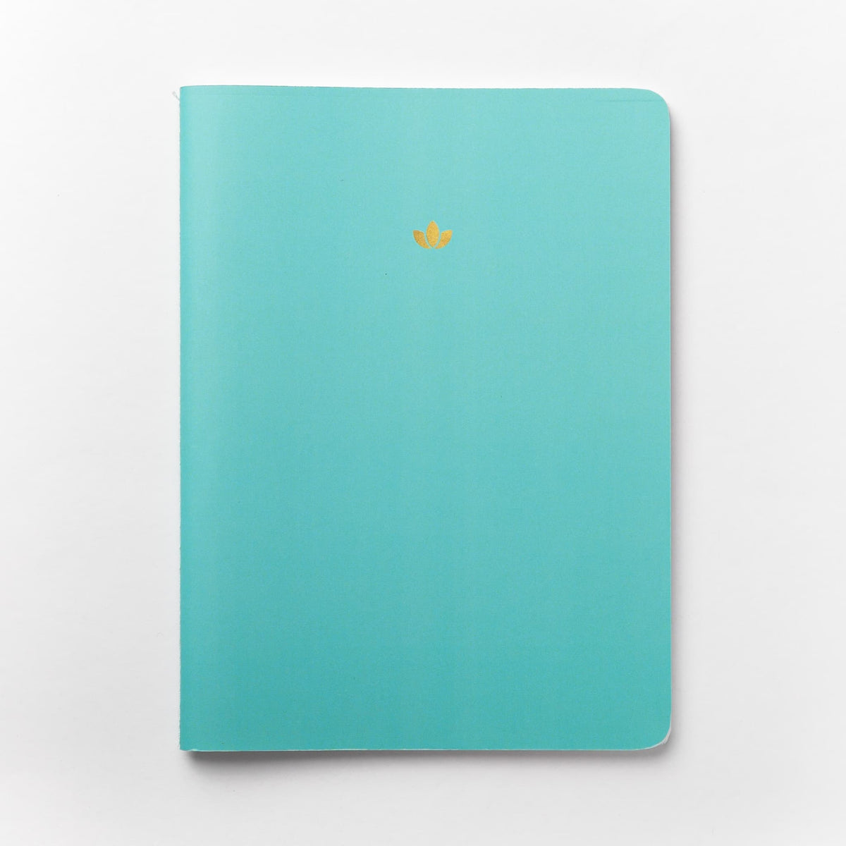 2025 Monthly Planner - Blue Lagoon
