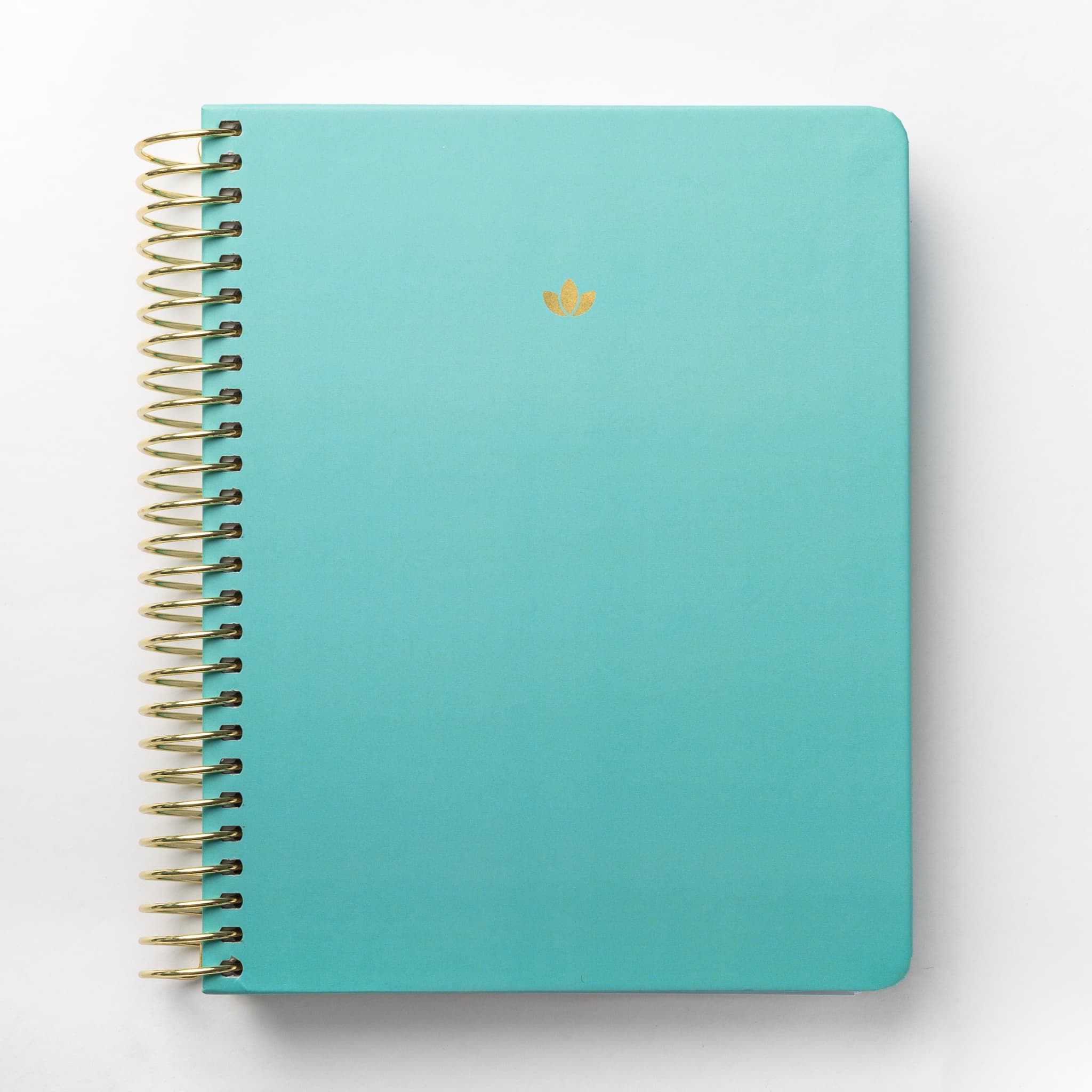 2025 Daily Planner - Blue Lagoon (July - December only)