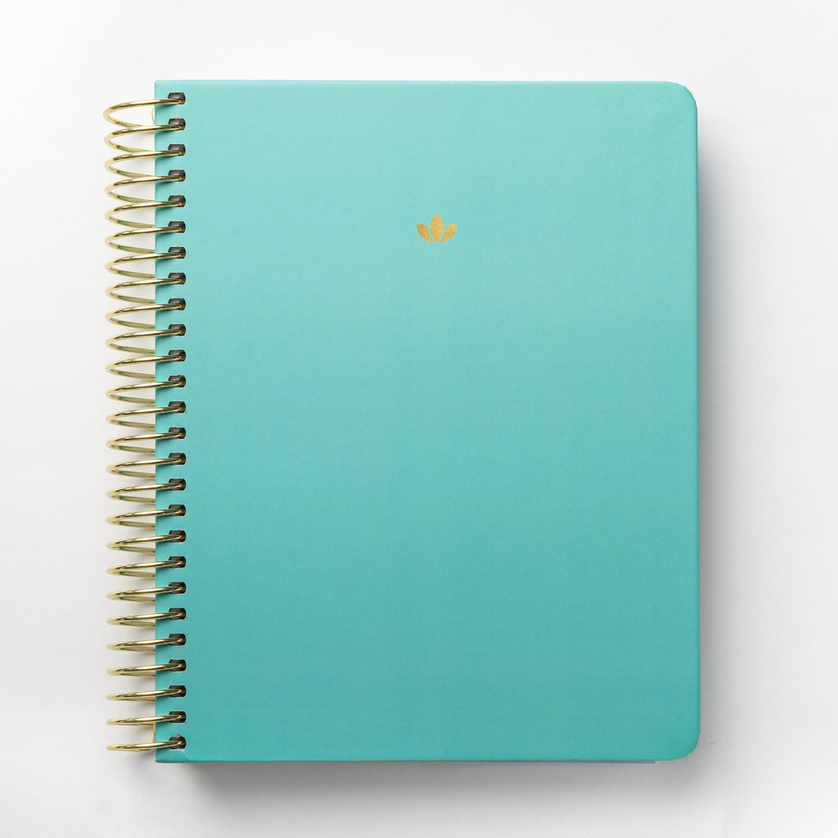 2025 Daily Planner - Blue Lagoon (July - December only)