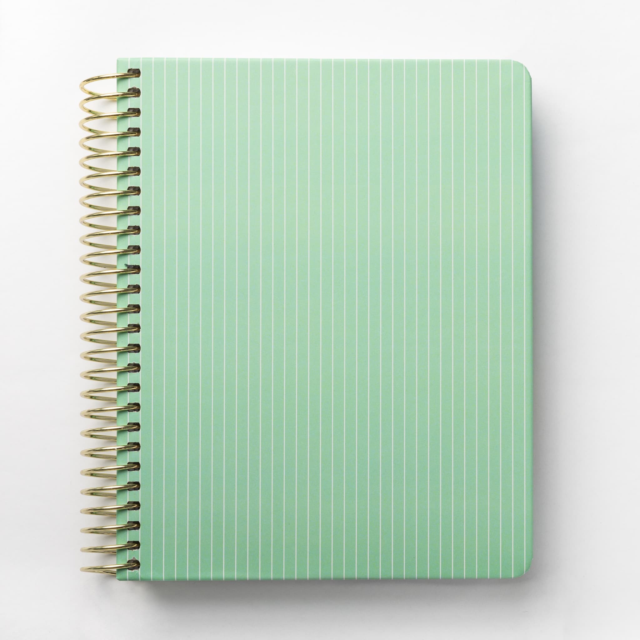 2025 Daily Planner - Celadon Pinstripe (July - December only)