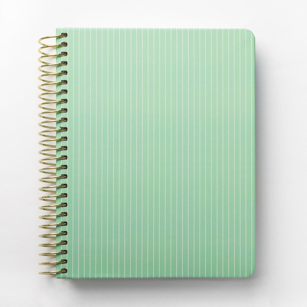 2025 Daily Planner - Celadon Pinstripe (July - December only)