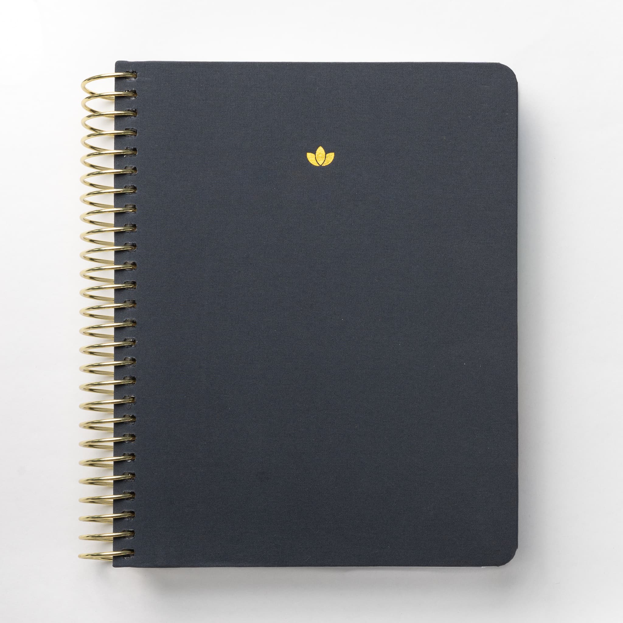 2025 Daily Planner - Swanky Charcoal (July - December only)