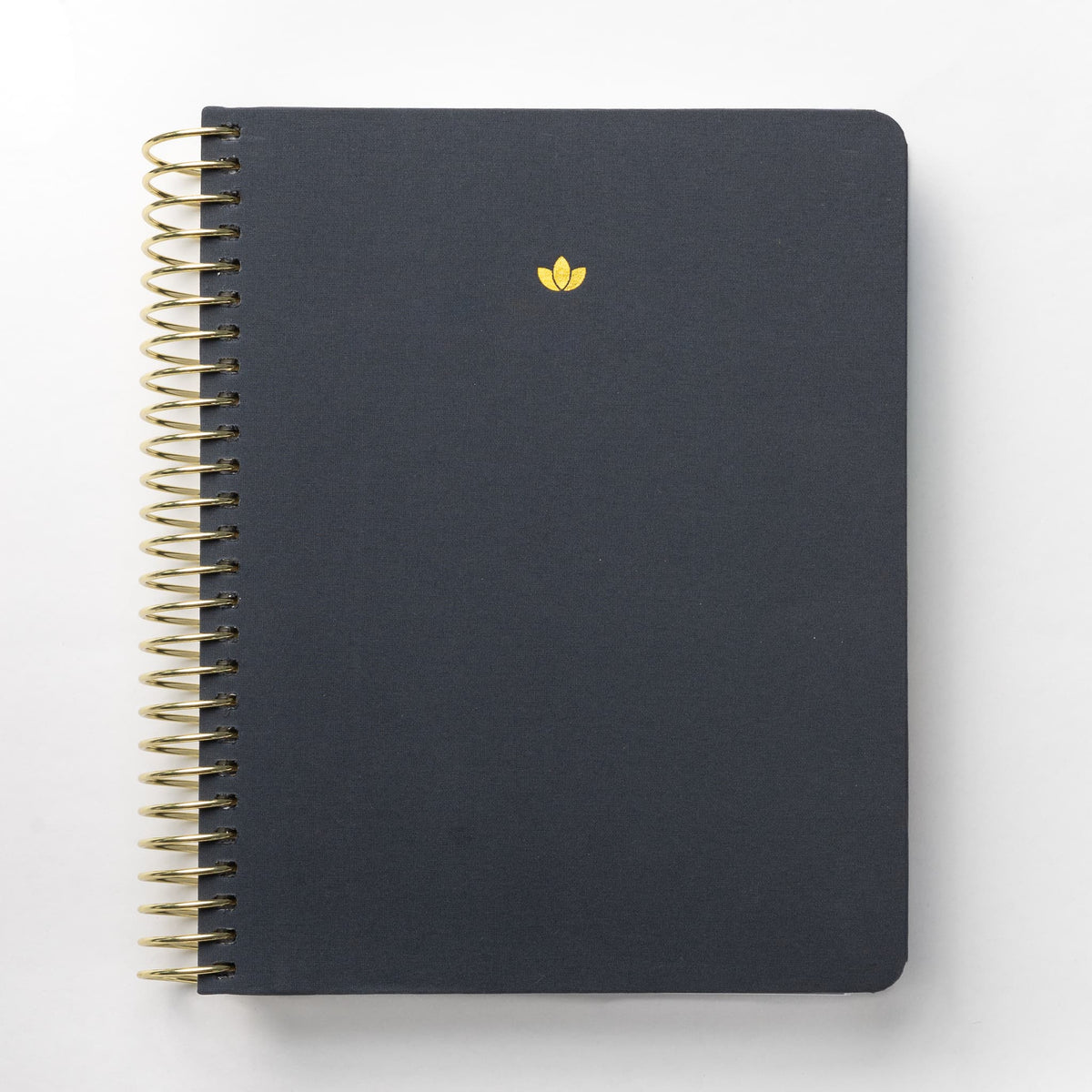 2025 Daily Planner - Swanky Charcoal (July - December only)