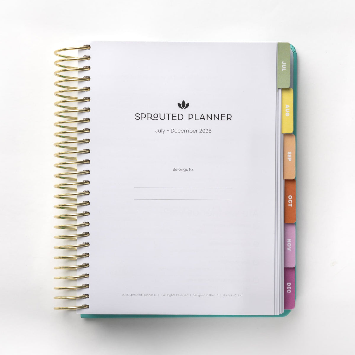 2025 Daily Planner - Pied Pebbles (July - December only)