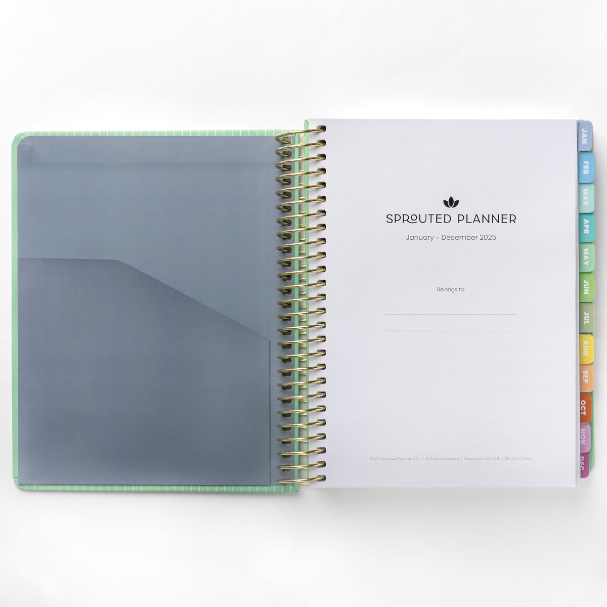 2025 Weekly Planner - Celadon Pinstripe