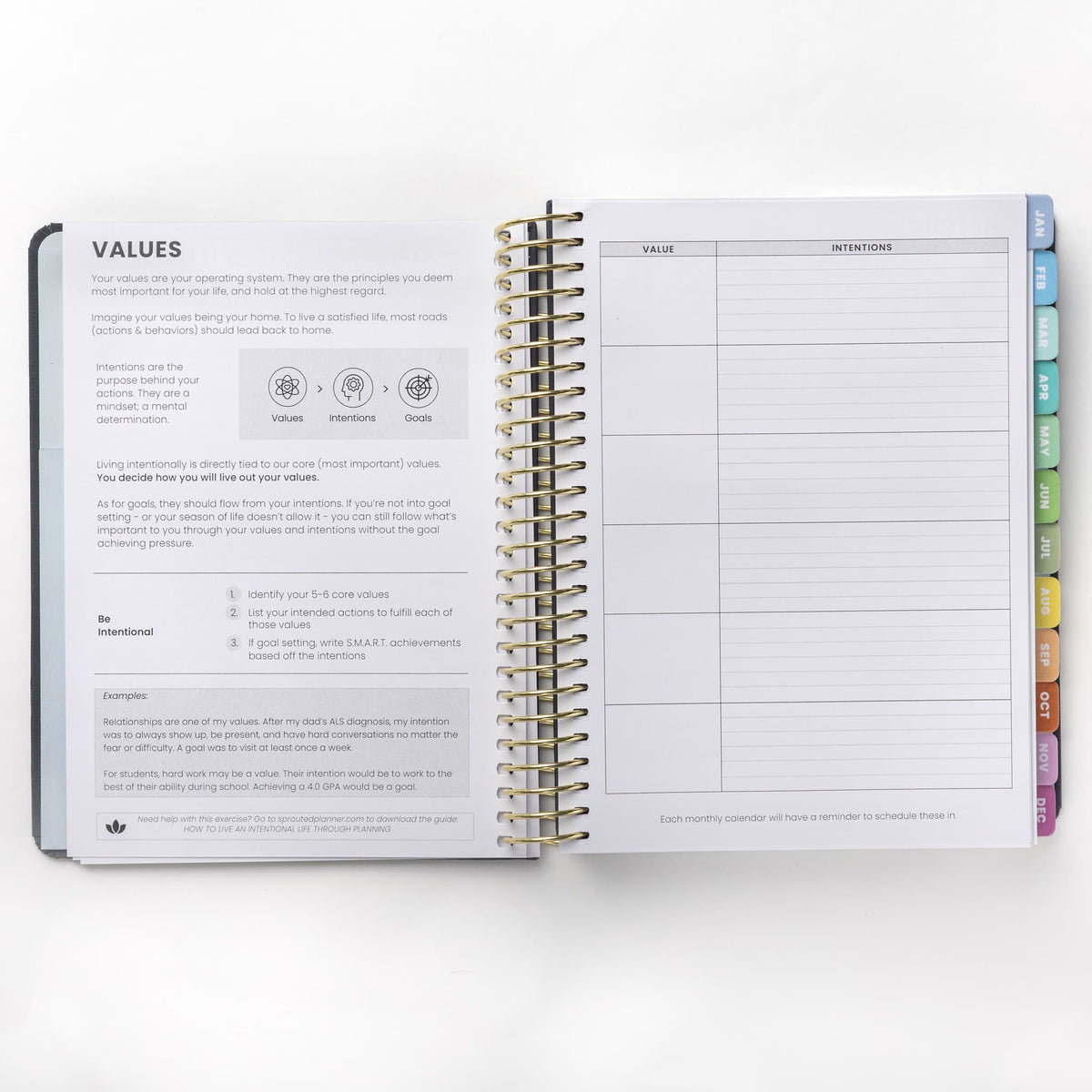 2025 Weekly Planner - Pied Pebbles