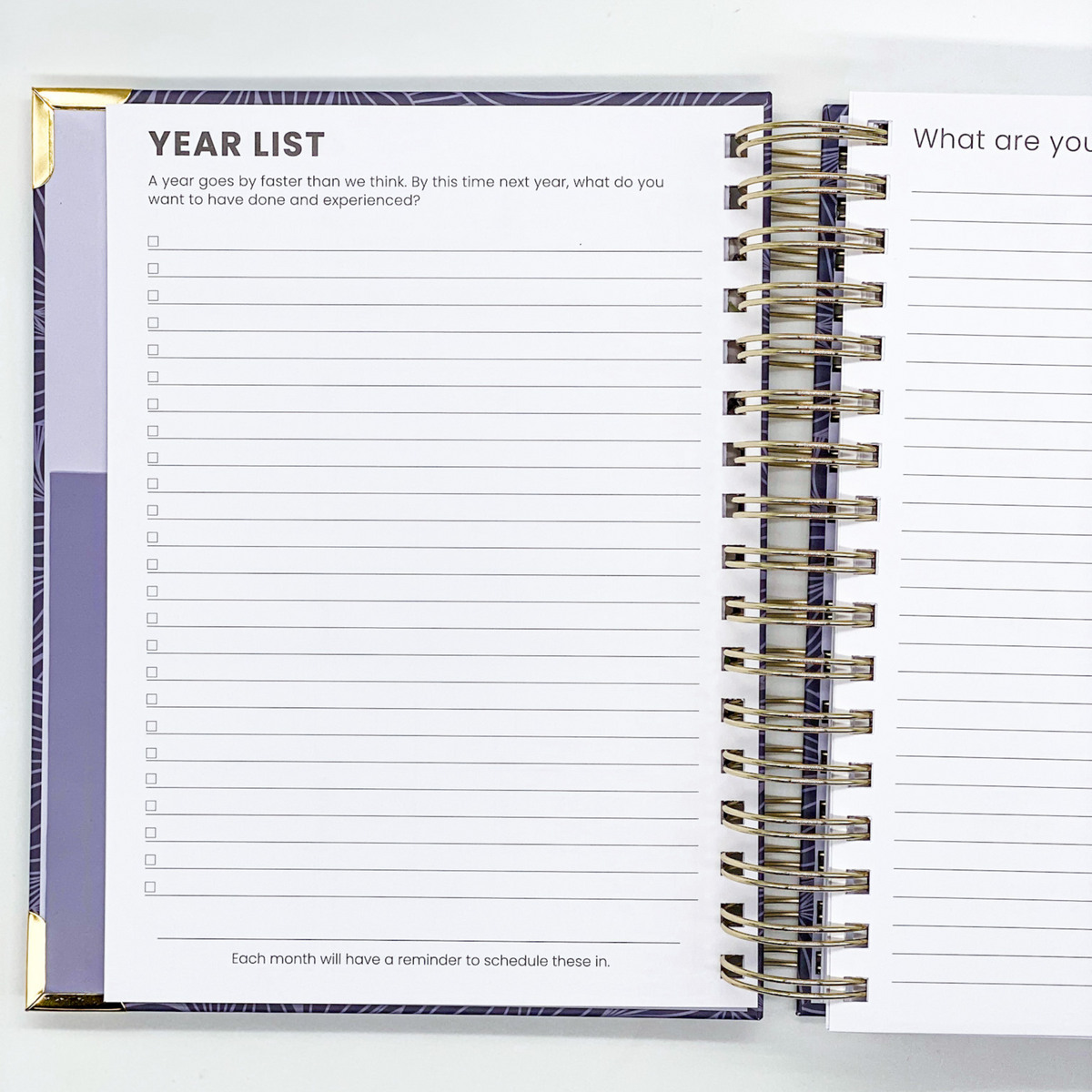 2023 Weekly Planner - Midnight Petals